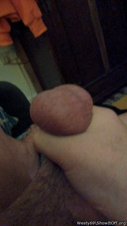 Adult image from Westy69
