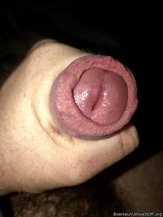 Adult image from Boerseun
