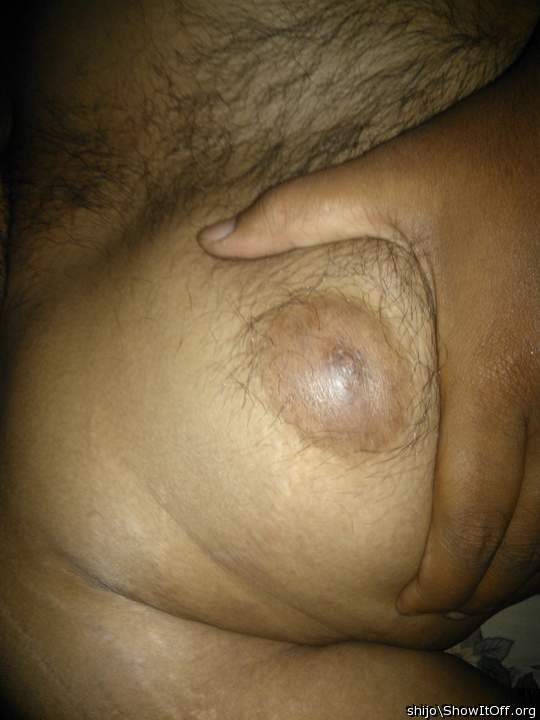 Adult image from Shijo