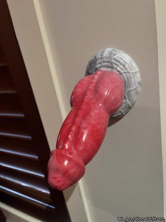 Adult image from MR_boy