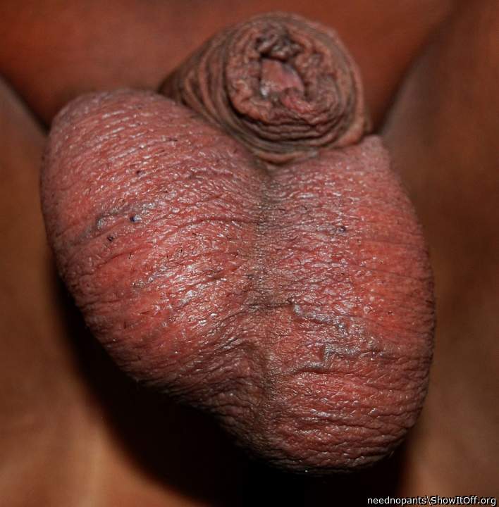 Adult image from neednopants