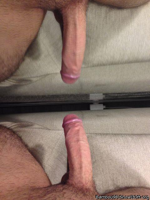 Adult image from Bambou98