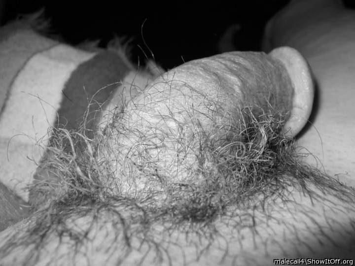 Adult image from malecall4