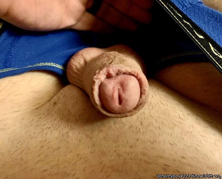 Adult image from dchornyboy4223