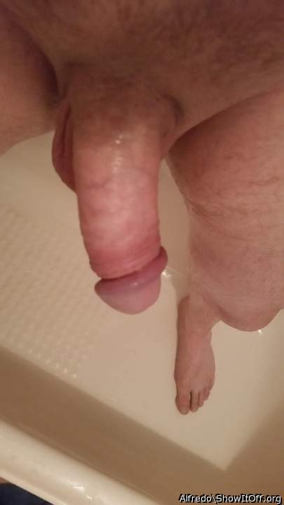 Adult image from Alfredo