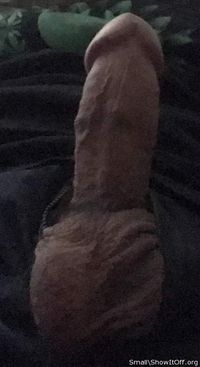 Adult image from Small