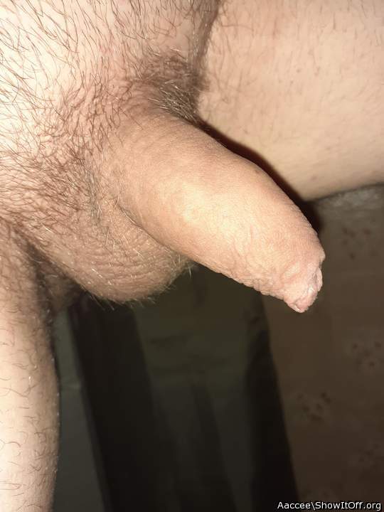 Adult image from Aaccee