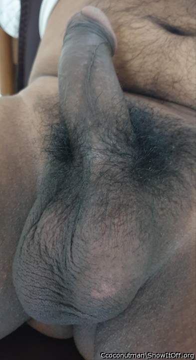 Adult image from Ccoconutman