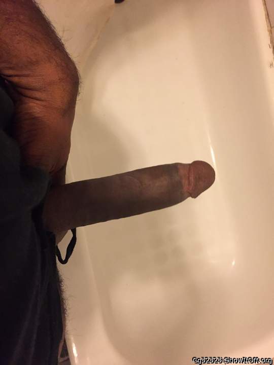 Adult image from Cg32323