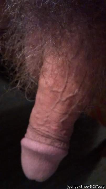 Adult image from jgengy
