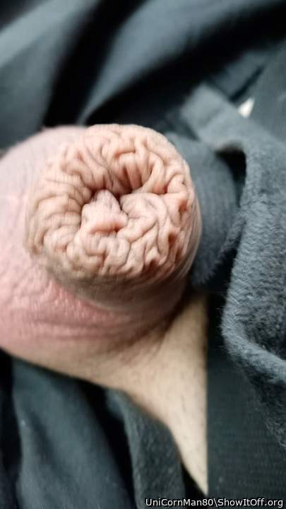 Shrinkage factor 2