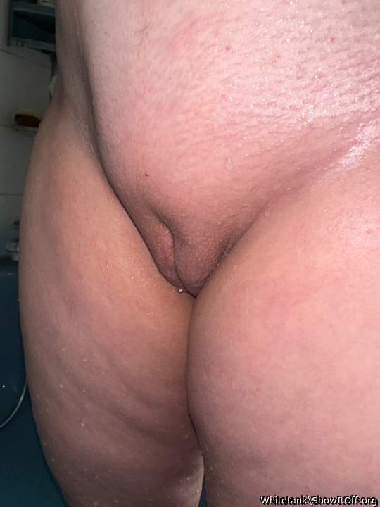 Blondi shaved