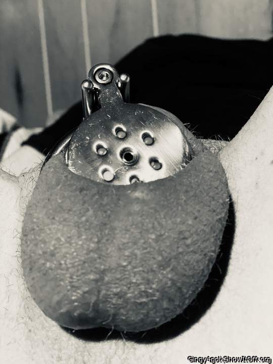 Adult image from Gingy4got