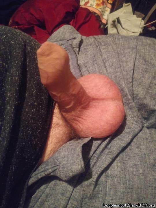 Adult image from booplesnoot