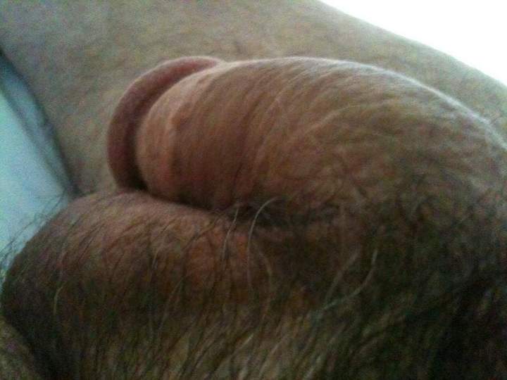 Adult image from bdguy