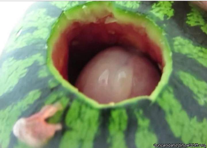 Wanking in a small watermelon