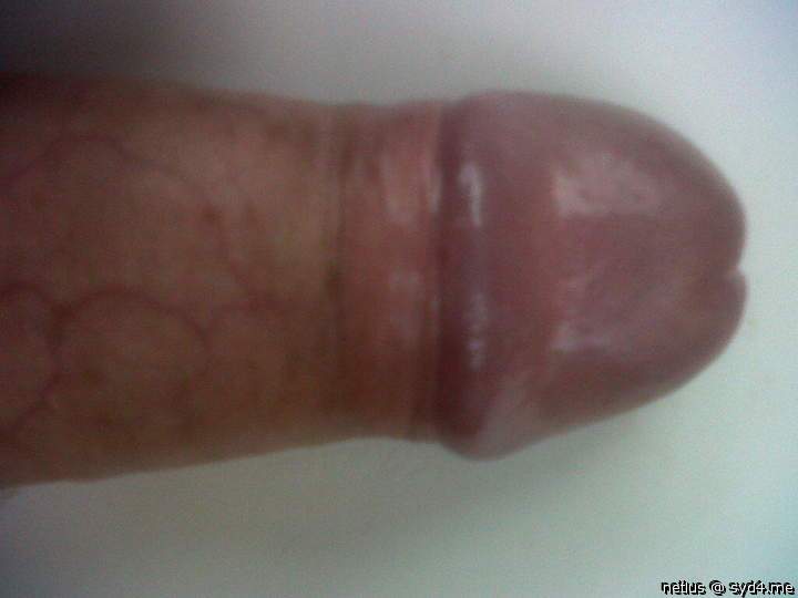 Adult image from netlus