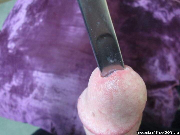 Adult image from megaplum