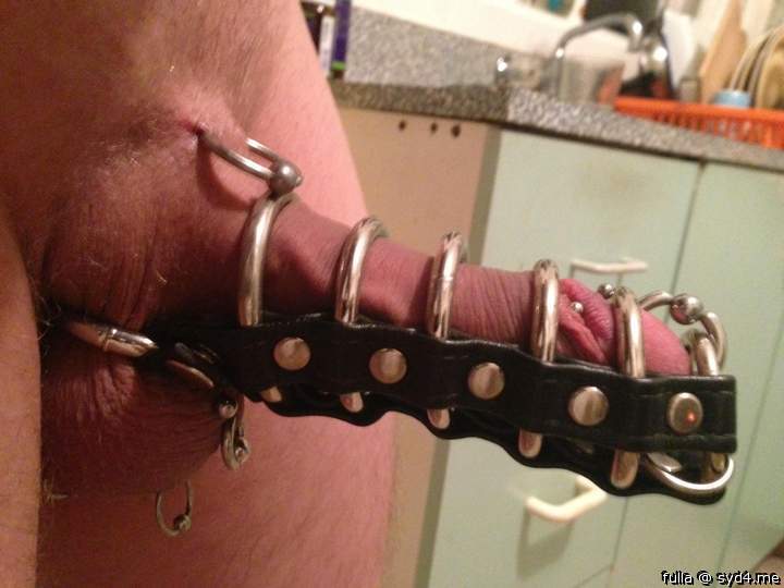 pierced cock