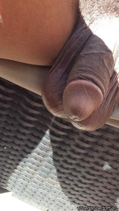 Adult image from eddier