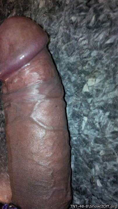 Adult image from TNT-48-8
