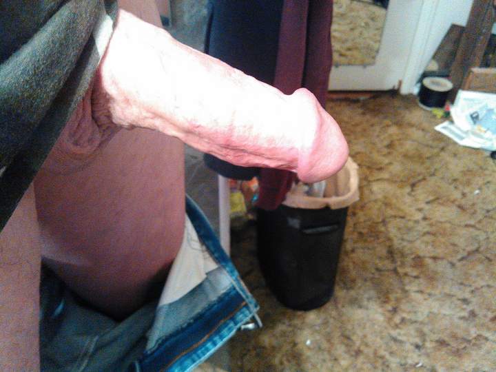 Adult image from fish4free