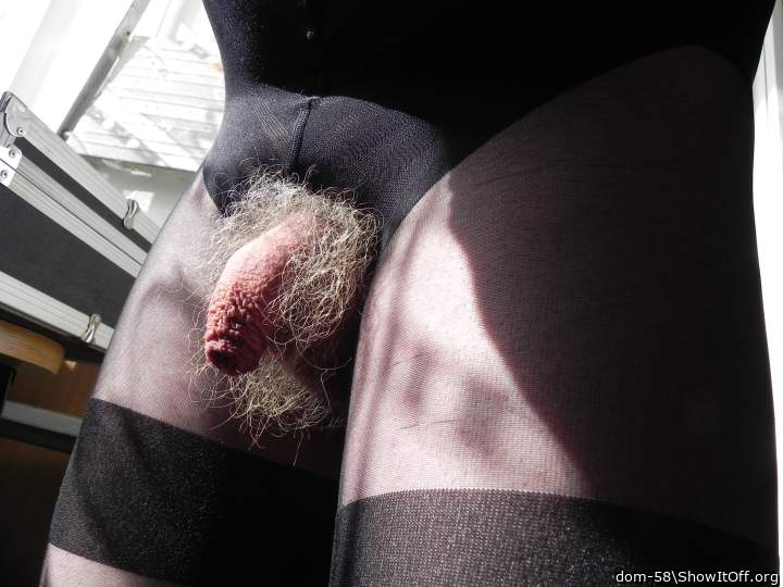 Adult image from dom-58