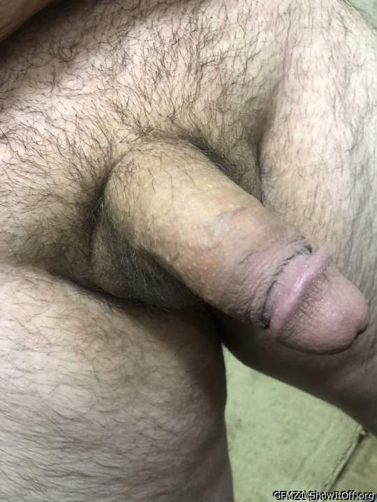 Adult image from GFMZ1