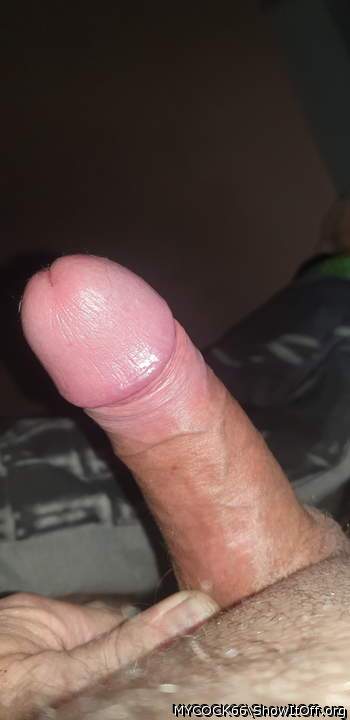 Adult image from MYCOCK66