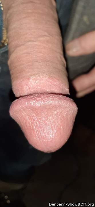 Adult image from Denpenn