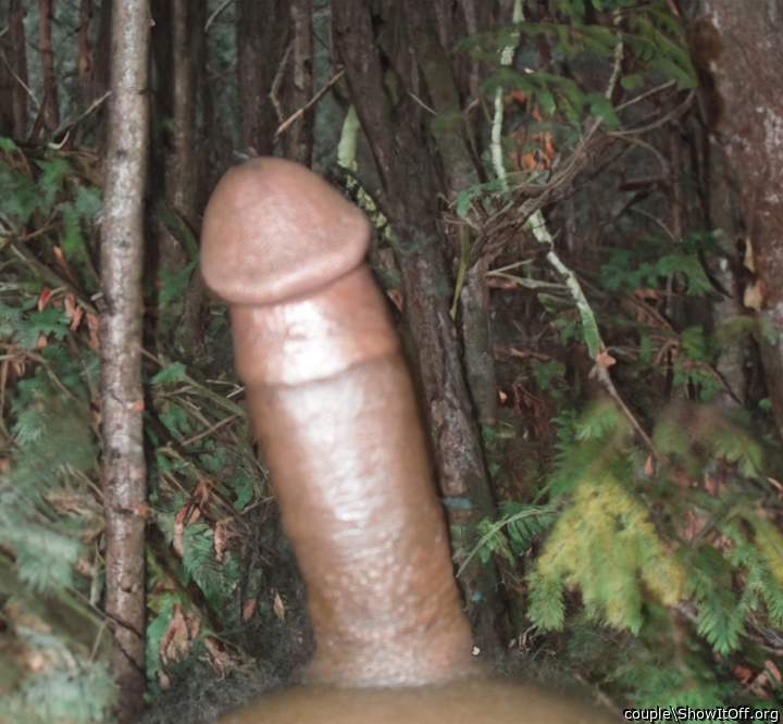 Adult image from couple
