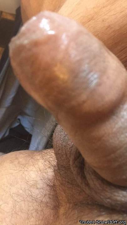 Adult image from Chubbs