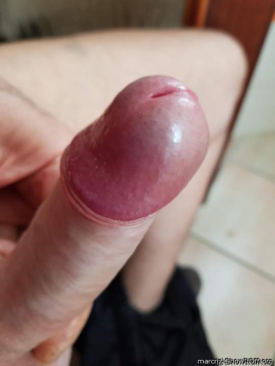 Adult image from marcriz