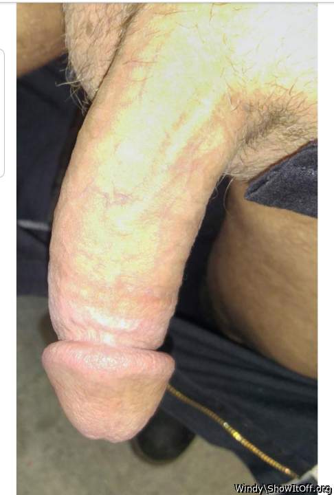 Adult image from Windy