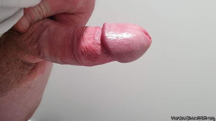 Adult image from Horatio
