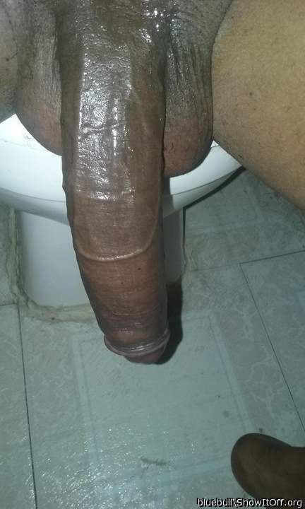 Adult image from bluebull