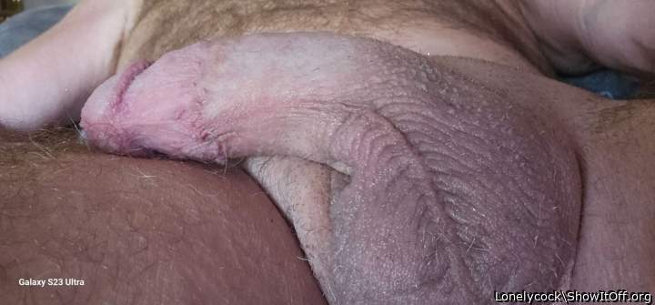 Adult image from Lonelycock
