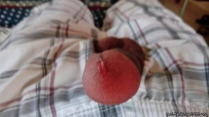Adult image from jac114