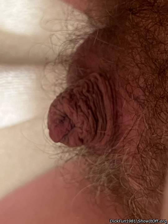 Adult image from DickFun1981