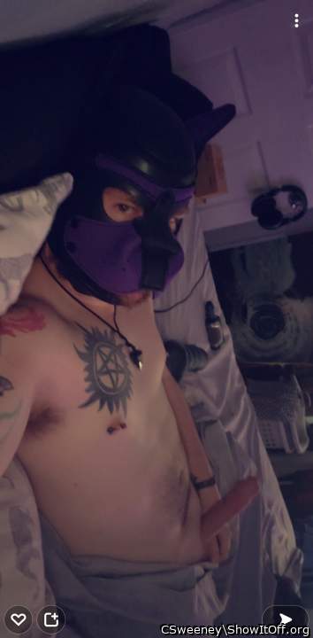 Adult image from CSweeney
