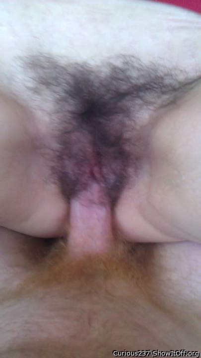 Adult image from Curious237