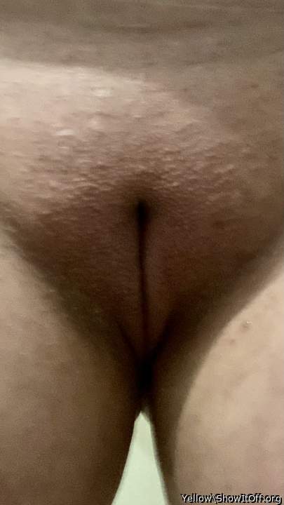 Adult image from Yellow