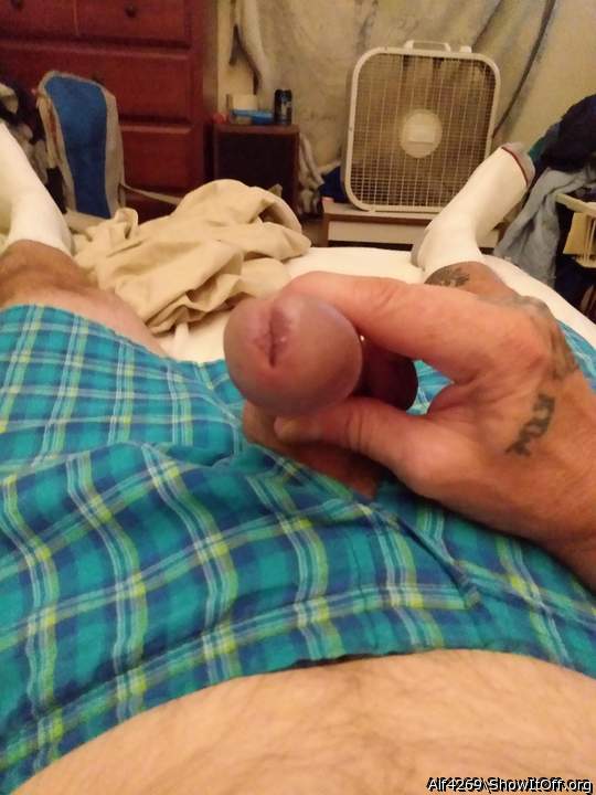 Adult image from Alf4269