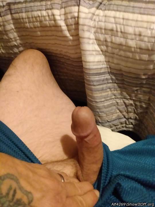 Adult image from Alf4269
