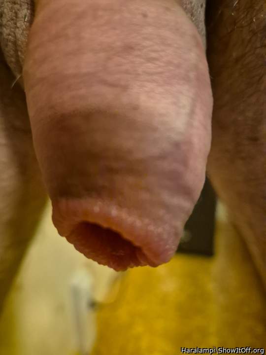 Adult image from Haralampi