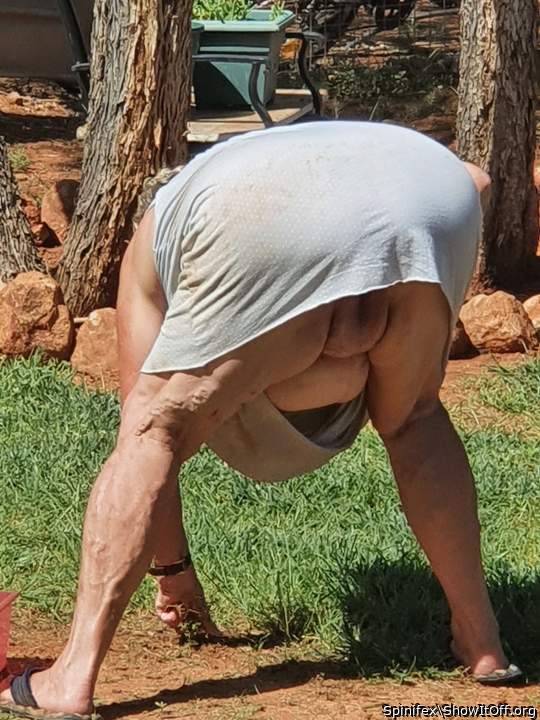 Waiting for the neighbours dog to lick my pussy
