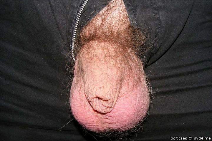 Adult image from balticsea