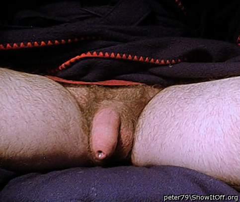 Adult image from peter79