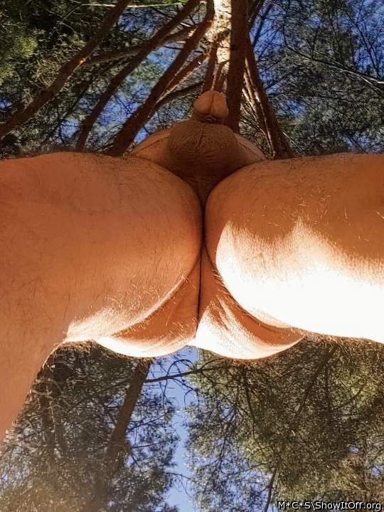 Adult image from M*C*S