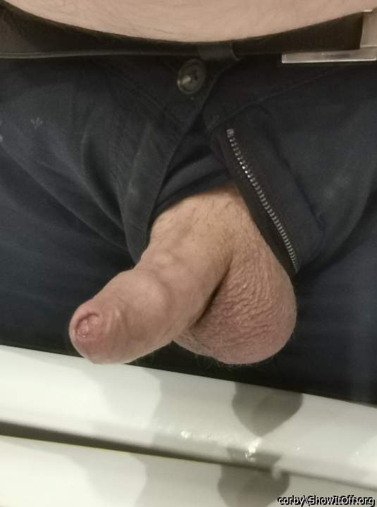 Adult image from corby